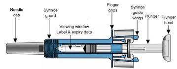 Xolair Omalizumab Drug Medicine Information