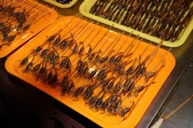 فرق غذای ایرانی و خارجی 1