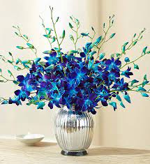 They have free tepals that are widely spreading or united at the base in a tube. Ocean Breeze Orchids 1800flowers Com 140953