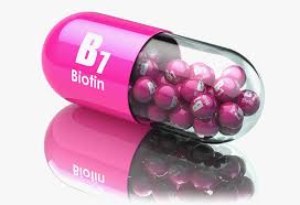 Phillips says, women should not expect magical growth from a prenatal vitamin. Biotin In Pregnancy Importance Deficiency Recommended Dosage