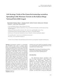 Image result for Sericostachys