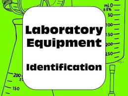 Laboratory Equipment Lab Equipment Identification Science Lessons Science Chemistry Teaching Biology