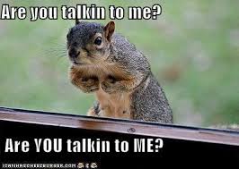 If you like squirrel pictures, i published an ebook, called life lessons from my squirrel friends on smashwords and amazon. Funny Animal Squirrel Funny Funny Animals Funny Animal Photos