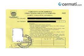 Bagaimana cara mengirim lamaran kerja lewat email? Bikin Kartu Kuning Pencari Kerja Cuma 15 Menit Begini Syarat Dan Caranya Cermati Com