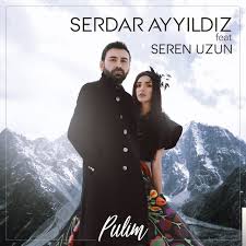 Serdar Ayyildiz Feat Yildiz Tilbe Korktum Deseydin Mp3 Indir Feat Yildiz Tilbe Korktum Deseydin Muzik Indir Dinle