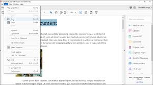 Pdf files are commonly used for official forms, such as t. Adobe Acrobat Dc Pro 2019 Free Download Softwarg