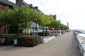 Emerge stronger with roxanne emmerich. Rabbitmountains