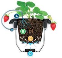 9L Trough For Strawberries with Truss Support - Plantlogic