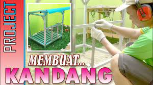 Burung puyuh mempunyai ukuran tubuh yang relatif kecil dan memiliki kaki yang pendek. Cara Membuat Kandang Baja Ringan Youtube