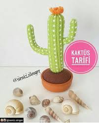 Instagram Da Hobihaber Seniz Singer Gunaydin Kaktus Tarifi Icin Resimleri Yana Kaydirmaniz Yeterli Videolar Da Cektim Onl Kaktus Amigurumi Elisi Fikirleri