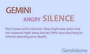 Pin Di Gemini Facts