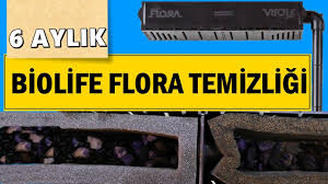 6 Aylik Biolife Flora Filtre Temizligi Akvaryum Filtresi 2020 Flora Akvaryum The Office