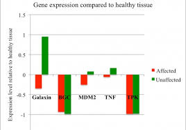 Gene Expression Analysis