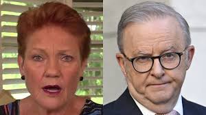 Shelly Beach: Mark Rapley punches great white to save wife Chantelle Doyle's  life