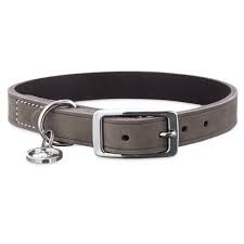 Pin By Hannah Hamelin On Random Things For Inspiration What To Draw In 2020 Large Dog Collars Small Dog Accessories Dog Collar