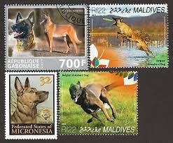 Belgian malinois dog breeders in portugal finding a belgian malinois dog breeder in portugal has never been simpler, browse through our belgian malinois breeders in portugal below. Belgian Malinois Int L Postage Stamp Art Collection Great Gift Idea Ebay