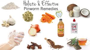 Treating Pinworms Naturally Barefood Angel Barefood Angel Natural Remedies For Pinworms Natural Wart Remedies Natural Remedies
