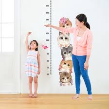 Sk7178 Cat Growth Chart Height China Window Sticker