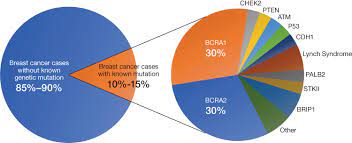 What to know about breast cancer. Comparison Of Patient Susceptibility Genes Across Breast Cancer Impli Pgpm