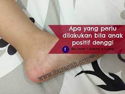 Ia boleh diikuti dengan pendarahan seluruh badan yang juga membawa maut. Bila Anak Kesayangan Sendiri Disahkan Positif Denggi Diari Ibuzarith