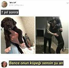 adli kullanicinin komik panosundaki pin komik capsler komik fikralar komik seyler