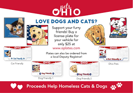 Call the shelter before your visit to make sure the animal is still available. Wood County Dog Shelter