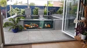 I was wondering about how many koi should i put in there? 3000 Gallon Pond Oase Drum Indoor Pond Youtube