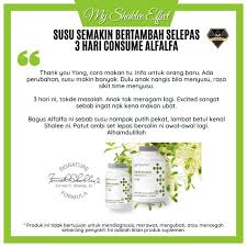 Cara minum maca mx dan alfalfa dan seagold. Free Gift Alfalfa Complex Shaklee Shopee Malaysia