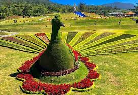Cewek berhijab cantik selfie di tempat wisata. Cantiknya The Blooms Garden Destinasi Wisata Baru Yang Hits Di Bali