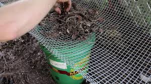 Indeed, chicken bones are compostable. Composting Meat Dairy Bones And Human Waste The Grow Network