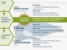 Natugena Monoditox Leber Gallen Komplex Kaufen