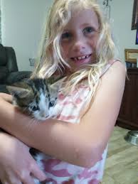 My kids Found 3 kittens and momma was dead.. they need a home 2 males 1  female( grey kitten) need home for them fast... Or I risk losing my home.  haVnt found