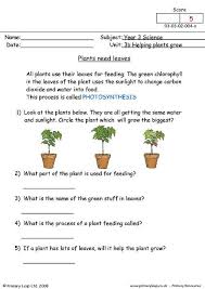 These worksheets delve into the names and functions of the different parts of a plants. Food From Plants Worksheet For Grade 2 Shotwerk