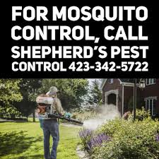 Drain doctor, marvin cornett is ready to assist you with your plumbing repairs in elizabethton, tn. Shepherds Pest Control 106 Broad St Box 211 Elizabethton Tn 2021