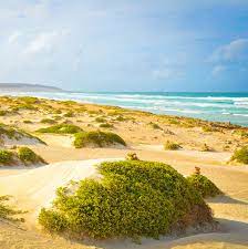 Read hotel reviews and choose the best hotel deal for your stay. Boa Vista Die Gemutliche Kapverden Insel Geo