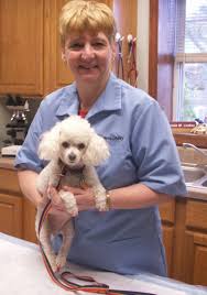 Critter doctor animal hospital was named best kirkland vet in 2015 by the kirkland reporter. Critter Care Center Online