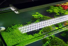 Best Planted Tank Led Lights With A Par Comparison Table