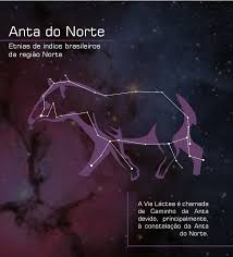 showcase and discover creative work on the world s leading online platform for creative industries constellations creative work indigenous people of brazil