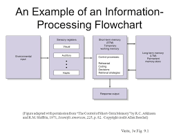 Information Processing View Information Processing The