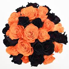 We did not find results for: Halloween Fresh Rainbow Roses Orange Black Birthday Etsy