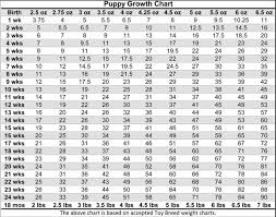 Pomeranian Chart 15 Free Online Puzzle Games On