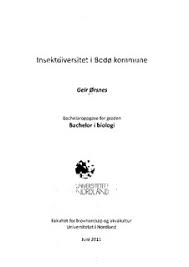Bodø kommune er en bykommune som ligger i nordland fylke, nærmere bestemt i salten. Nord Open Research Archive Insektdiversitet I Bodo Kommune