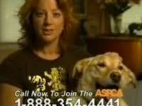 There has been a pub on the site since at least the late nineteenth century. Sad Aspca Song Online