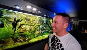 This channel focuses on every aspect of the aquarium hobby. The King Of Diy In Front Of Aquarium With Our E3 Slim Model 3d Aquarium Background Aquarium Aquarium Backgrounds