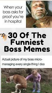 30 Of The Funniest Boss Memes | Boss Humor, Jokes, Funny Tips