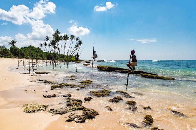 Stilt fishermen Koggala Ahangama poles seabed traditional fishing dawn golden hour south coast Sri Lanka