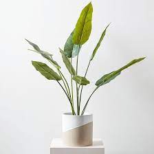 Faux Potted Bird Of Paradise Plant Tree Faux Plants Birds Of Paradise Plant Fig Plant