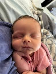 Hunter (@huntermalek) • Instagram photos and videos