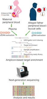 Noninvasive Prenatal Paternity Testing By Means Of Snp Based Targeted Sequencing Tam 2020 Prenatal Diagnosis Wiley Online Library