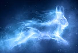 Hello everyone, welcome to our walkthrough section for unleash your patronus adventure for harry potter: Hare Harry Potter Wiki Fandom